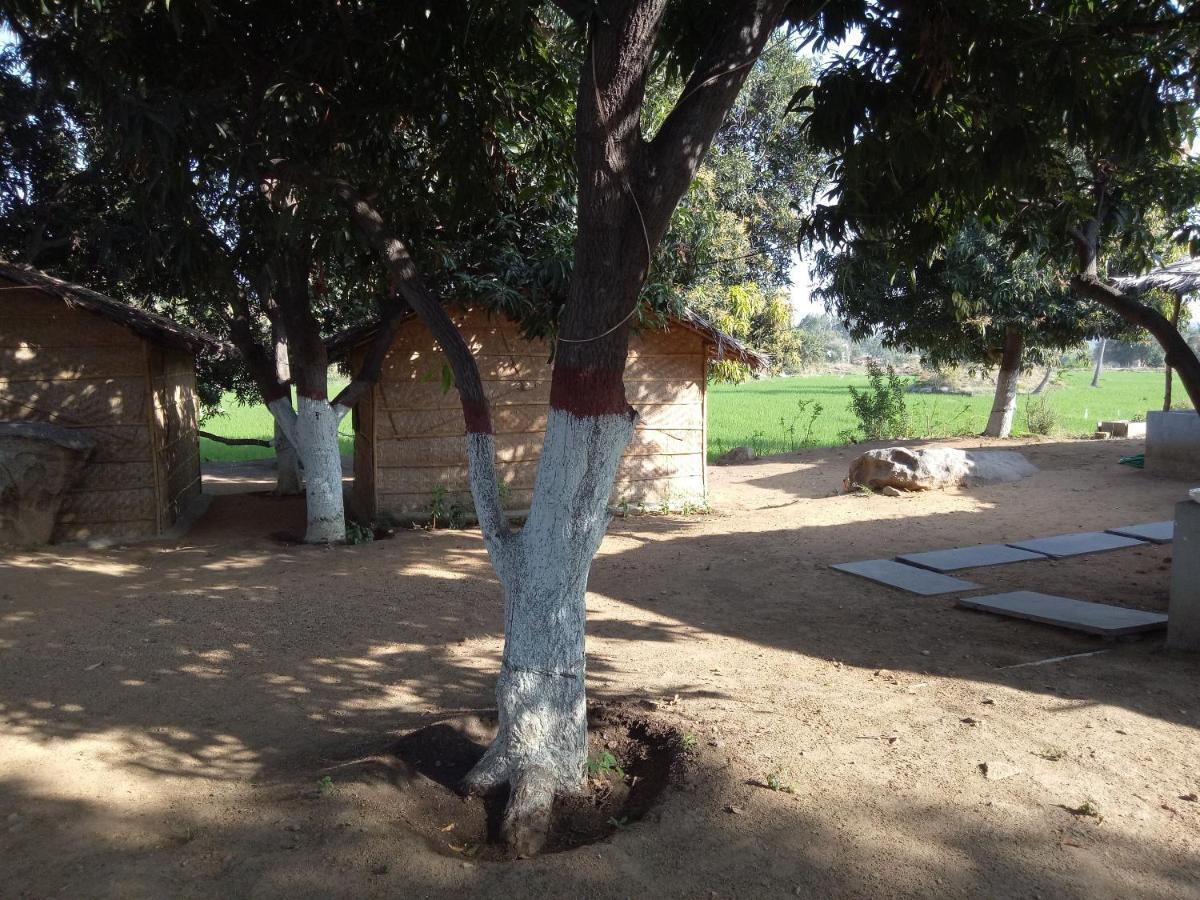 Sunrise Guest House & Restaurant Hampi Exterior foto